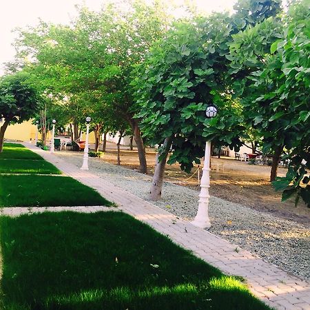 Mali Beach Aparthotel Siğacık Kültér fotó